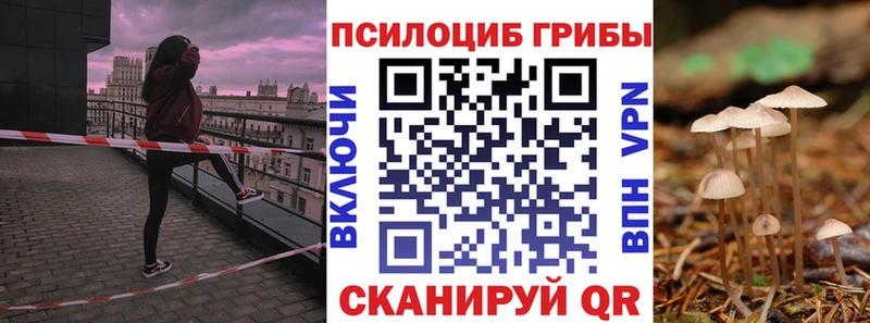 Псилоцибиновые грибы мицелий  купить наркоту  shop клад  Ишимбай 
